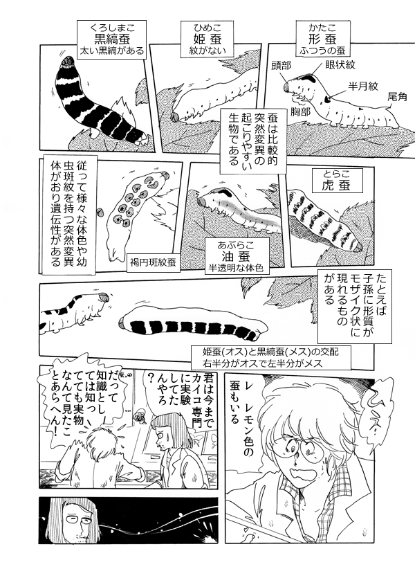 カイコの日３０